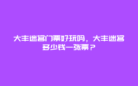 大丰迷宫门票好玩吗，大丰迷宫多少钱一张票？