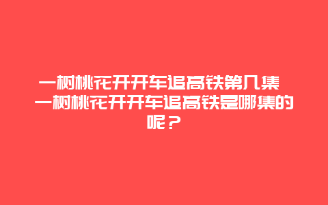 一树桃花开开车追高铁第几集 一树桃花开开车追高铁是哪集的呢？