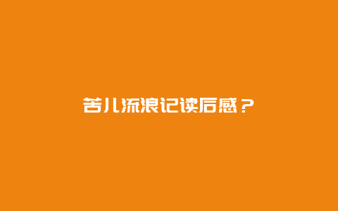 苦儿流浪记读后感？