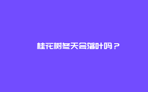 ﻿桂花树冬天会落叶吗？