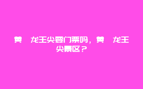 黄陂龙王尖要门票吗，黄陂龙王尖景区？