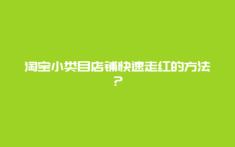 淘宝小类目店铺快速走红的方法？