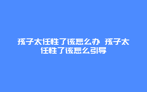 孩子太任性了该怎么办 孩子太任性了该怎么引导