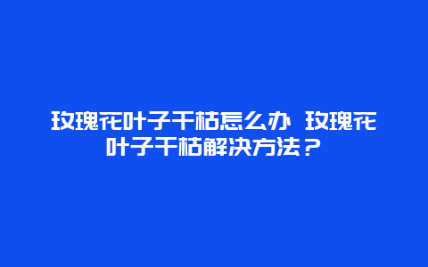 玫瑰花叶子干枯怎么办 玫瑰花叶子干枯解决方法？