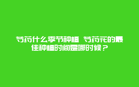 芍药什么季节种植 芍药花的最佳种植时间是哪时候？