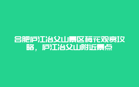 合肥庐江冶父山景区梅花观赏攻略，庐江冶父山附近景点