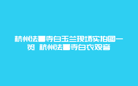 杭州法喜寺白玉兰现场实拍图一览 杭州法喜寺白衣观音