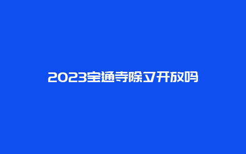 2023宝通寺除夕开放吗