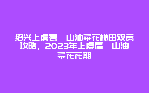 绍兴上虞覆卮山油菜花梯田观赏攻略，2023年上虞覆卮山油菜花花期