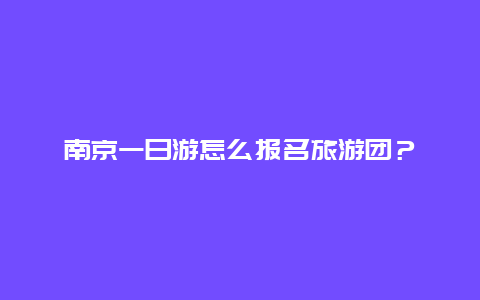 南京一日游怎么报名旅游团？