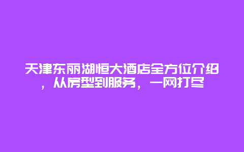 天津东丽湖恒大酒店全方位介绍，从房型到服务，一网打尽