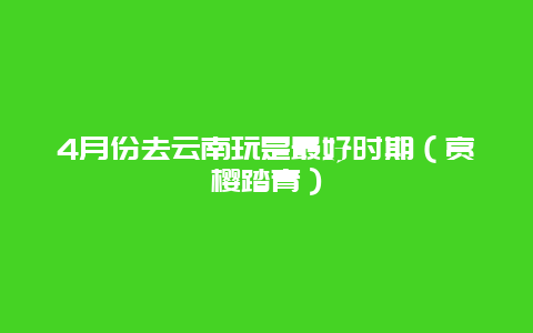 4月份去云南玩是最好时期（赏樱踏青）