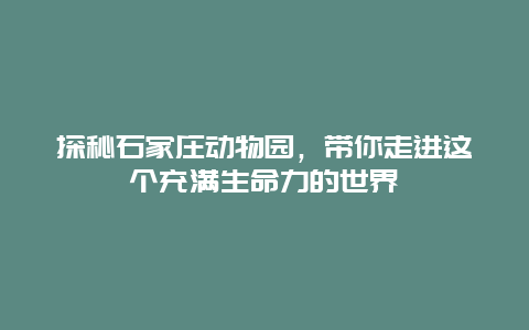 探秘石家庄动物园，带你走进这个充满生命力的世界