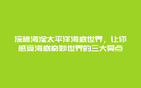 探秘海淀太平洋海底世界，让你感受海底奇妙世界的三大亮点