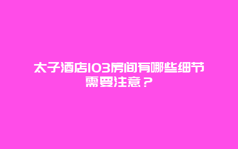 太子酒店103房间有哪些细节需要注意？