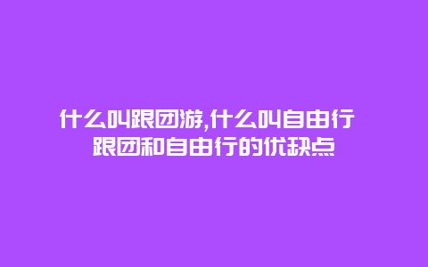 什么叫跟团游,什么叫自由行 跟团和自由行的优缺点