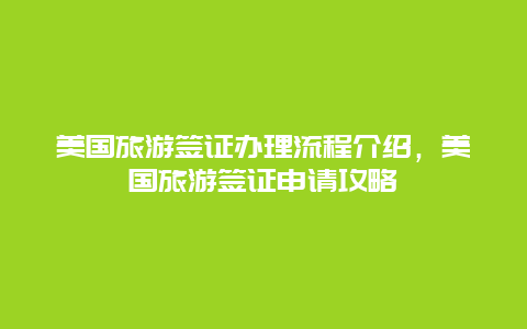 美国旅游签证办理流程介绍，美国旅游签证申请攻略