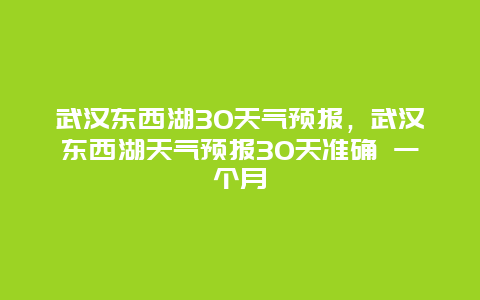 武汉东西湖30天气预报，武汉东西湖天气预报30天准确 一个月