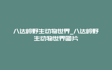 八达岭野生动物世界_八达岭野生动物世界图片