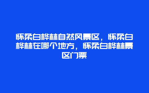 怀柔白桦林自然风景区，怀柔白桦林在哪个地方，怀柔白桦林景区门票