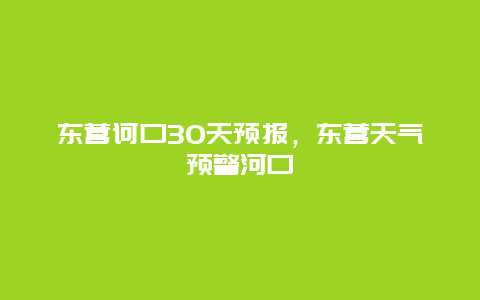 东营诃口30天预报，东营天气预警河口