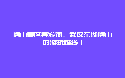 磨山景区导游词，武汉东湖磨山的游玩路线！