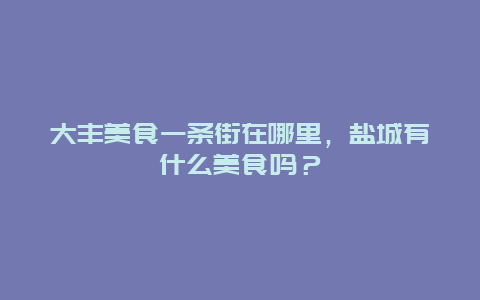 大丰美食一条街在哪里，盐城有什么美食吗？