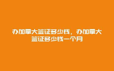 办加拿大签证多少钱，办加拿大签证多少钱一个月