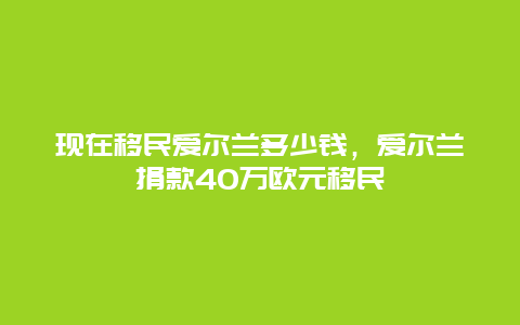 现在移民爱尔兰多少钱，爱尔兰捐款40万欧元移民