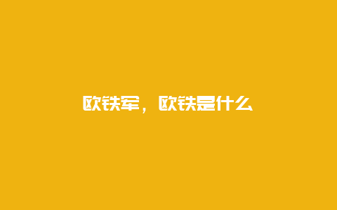 欧铁军，欧铁是什么