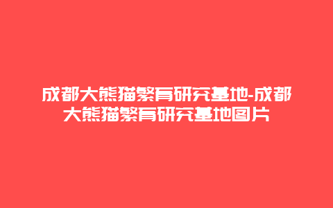 成都大熊猫繁育研究基地-成都大熊猫繁育研究基地图片