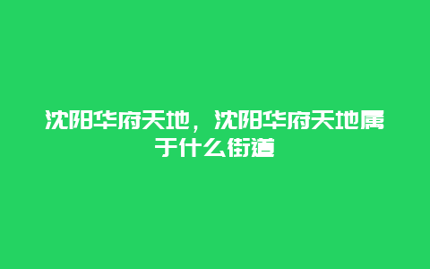 沈阳华府天地，沈阳华府天地属于什么街道