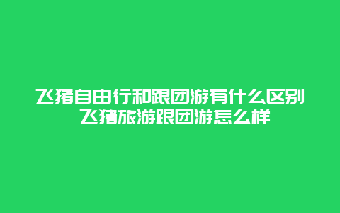 飞猪自由行和跟团游有什么区别 飞猪旅游跟团游怎么样