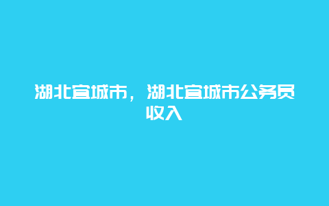 湖北宜城市，湖北宜城市公务员收入