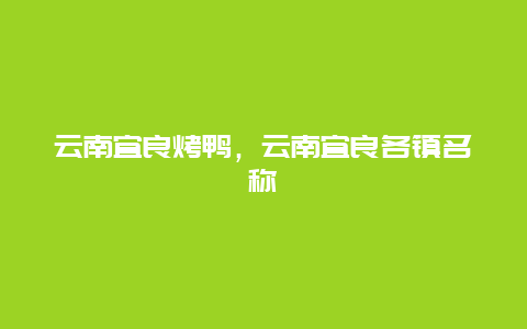 云南宜良烤鸭，云南宜良各镇名称