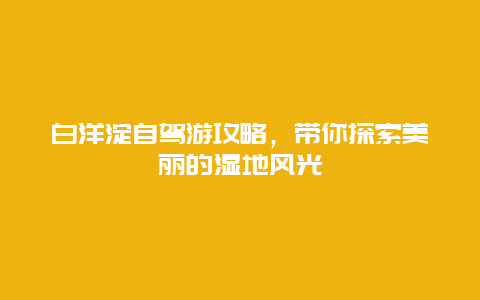 白洋淀自驾游攻略，带你探索美丽的湿地风光