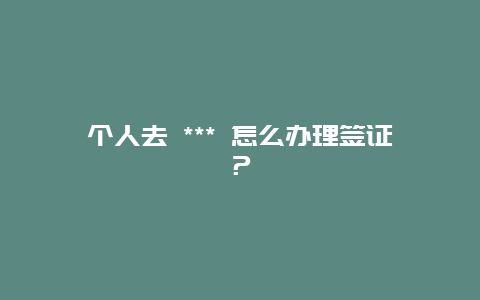 个人去 *** 怎么办理签证？