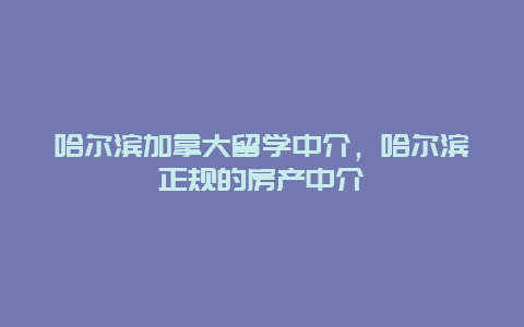 哈尔滨加拿大留学中介，哈尔滨正规的房产中介