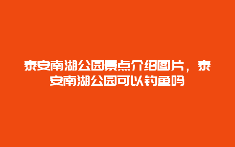 泰安南湖公园景点介绍图片，泰安南湖公园可以钓鱼吗