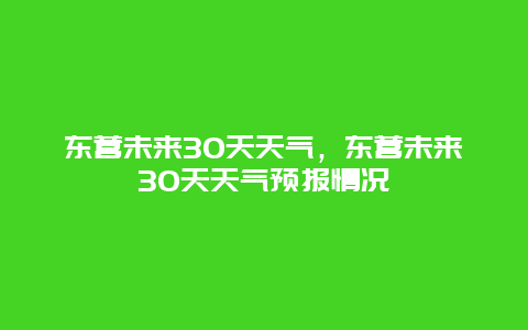 东营未来30天天气，东营未来30天天气预报情况