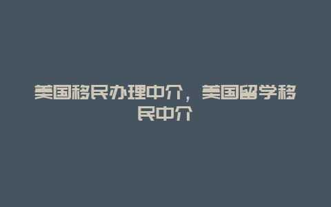 美国移民办理中介，美国留学移民中介