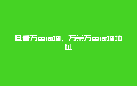 且看万亩荷塘，万荣万亩荷塘地址