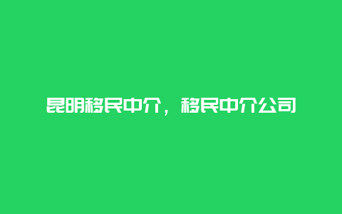 昆明移民中介，移民中介公司