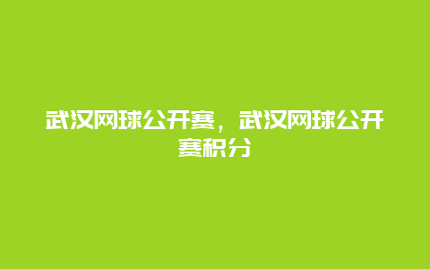 武汉网球公开赛，武汉网球公开赛积分