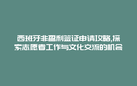 西班牙非盈利签证申请攻略,探索志愿者工作与文化交流的机会