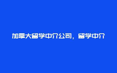 加拿大留学中介公司，留学中介