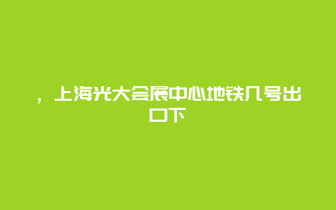 ，上海光大会展中心地铁几号出口下