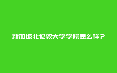 新加坡北伦敦大学学院怎么样？