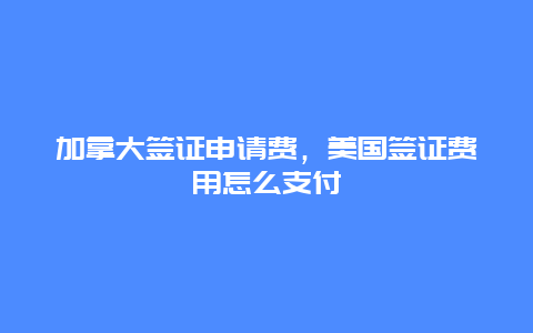 加拿大签证申请费，美国签证费用怎么支付