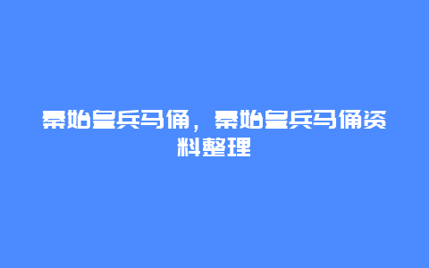 秦始皇兵马俑，秦始皇兵马俑资料整理